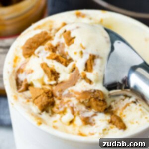 Indulgent Homemade Biscoff Cookie Butter Ice Cream 7 A photo of several scoops of Biscoff cookie butter homemade ice cream in a dark gray bowl with cookie crumbles and melted cookie butter all over the top.