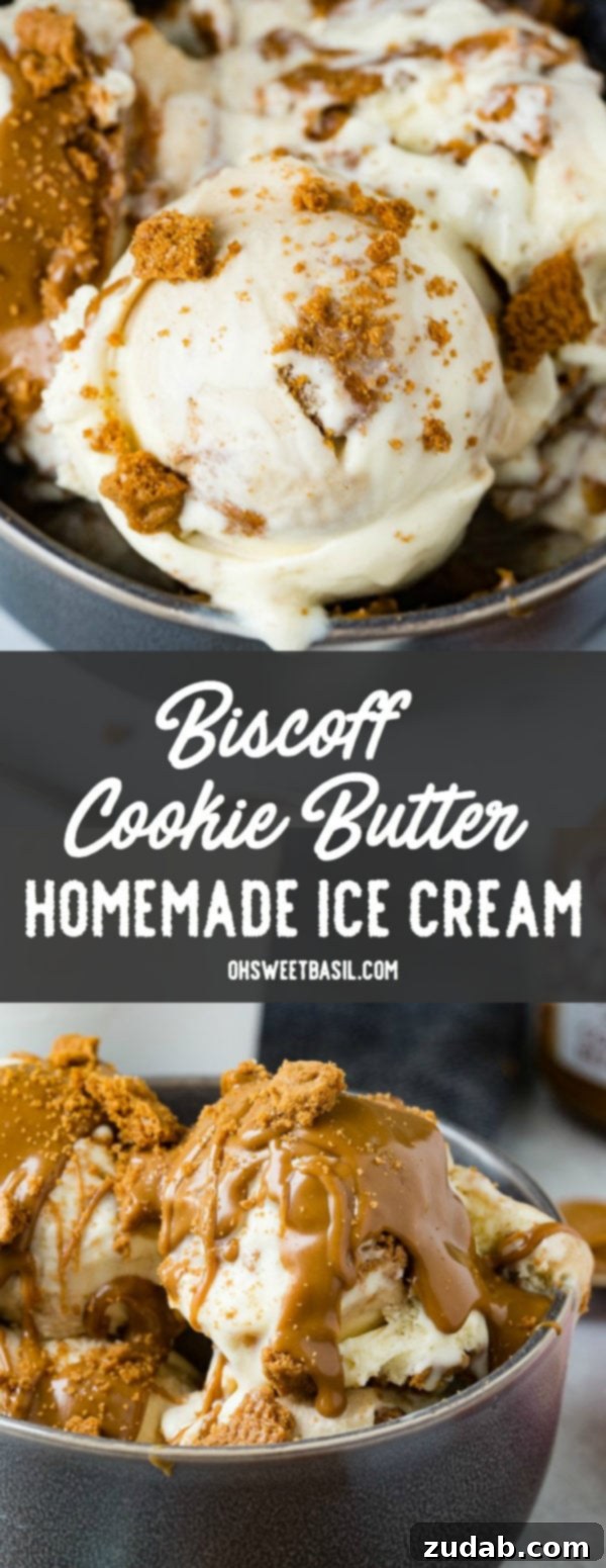 Indulgent Homemade Biscoff Cookie Butter Ice Cream 8 A photo of several scoops of Biscoff cookie butter homemade ice cream in a dark gray bowl with cookie crumbles all over the top.