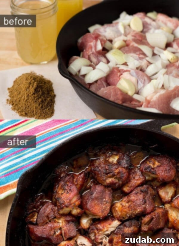 Pork carnitas with pickled red onions ohsweetbasil.com