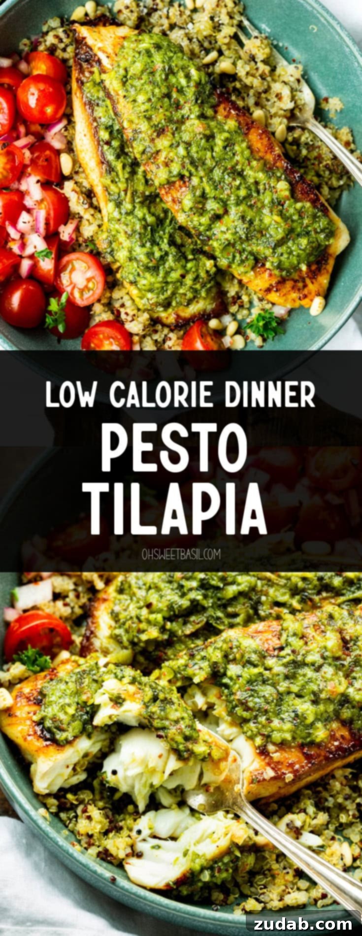 Pesto Tilapia Easy Low Calorie Dinner Video 9 a photo of two tilapia filets topped with pesto sauce on a bed of multicolored quinoa