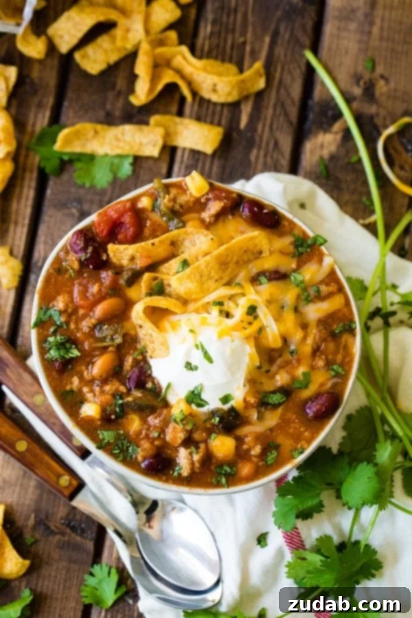 Blender Taco Chili A close-up photo of a bowl of rich taco chili, topped generously with crunchy Fritos, a swirl of cool sour cream, and vibrant fresh cilantro, with a spoon resting beside it.