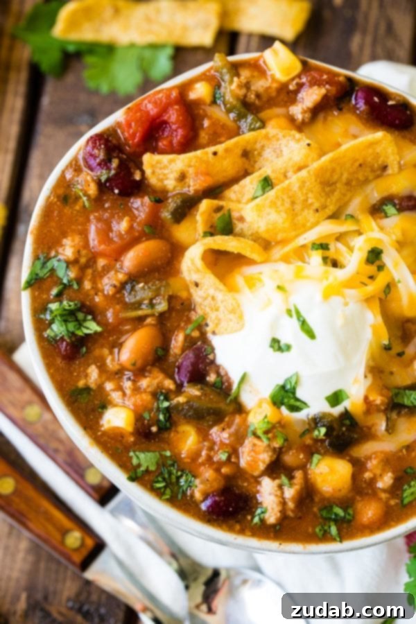 Blender Taco Chili A photo of a vibrant bowl of taco chili, generously topped with crispy Fritos, cool sour cream, and fresh chopped cilantro, ready to be enjoyed.