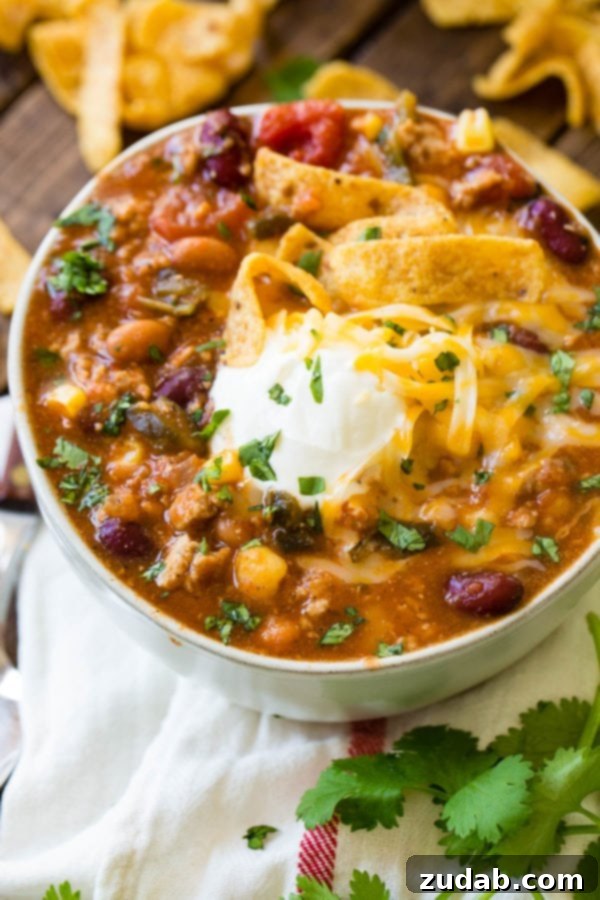 Blender Taco Chili A close-up photo of a bowl of inviting taco chili, artfully garnished with crispy Fritos, a generous dollop of cool sour cream, and fresh vibrant cilantro.