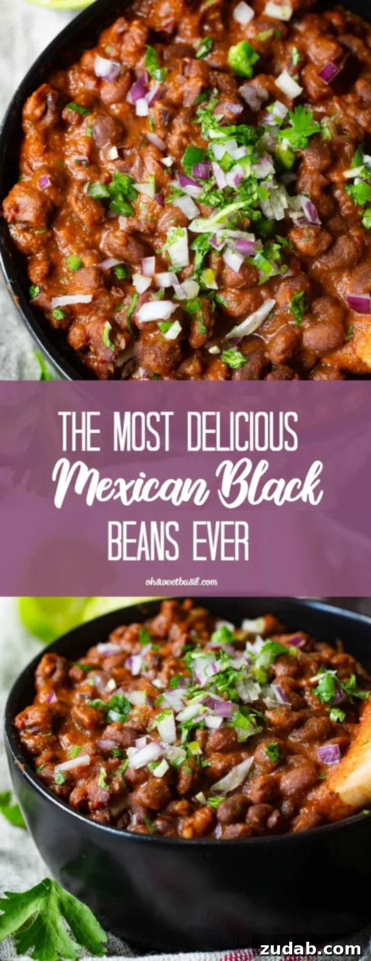 Your New Favorite Mexican Black Beans 3 A bowl of delicious Mexican black beans, expertly garnished with fresh cilantro and finely chopped red onion, showcasing their rich, appealing texture.
