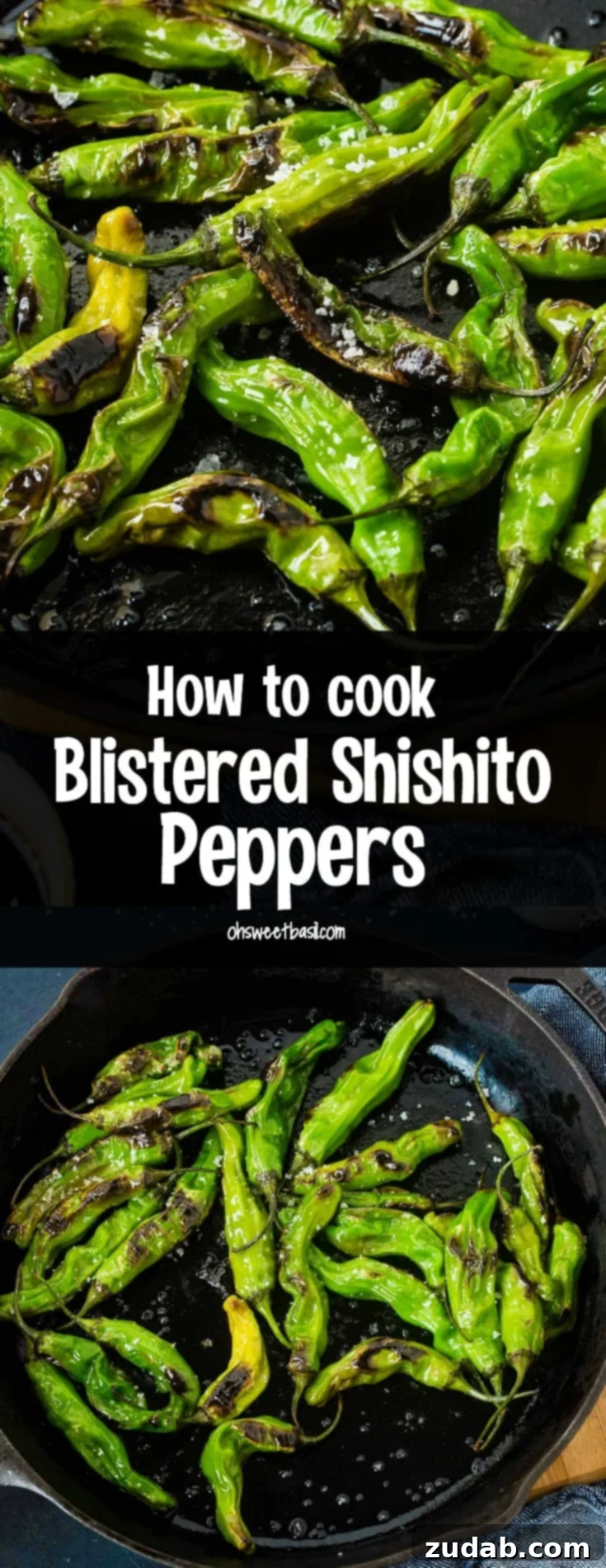 How to Get Perfectly Blistered Shishito Peppers 7 A black cast iron pan, visually striking, holding a vibrant assortment of bright green blistered shishito peppers, generously finished with flaked sea salt.