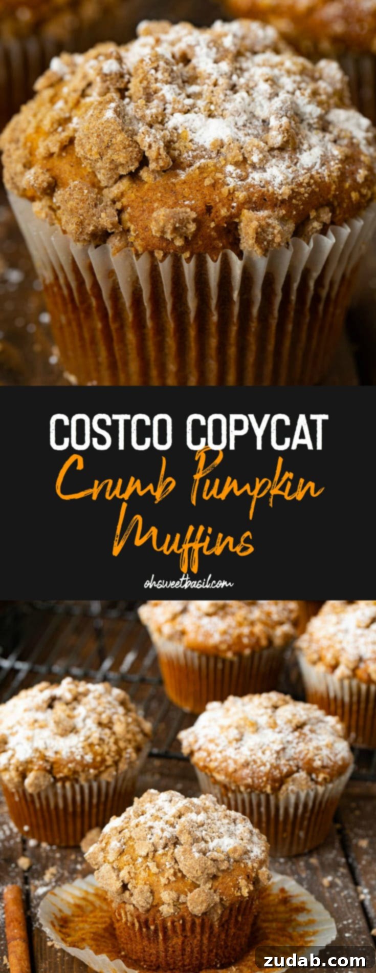 Irresistible Costco Style Pumpkin Streusel Muffins 8 A final, appealing image of the Costco Copycat Crumb Pumpkin Muffins, inviting readers to bake.