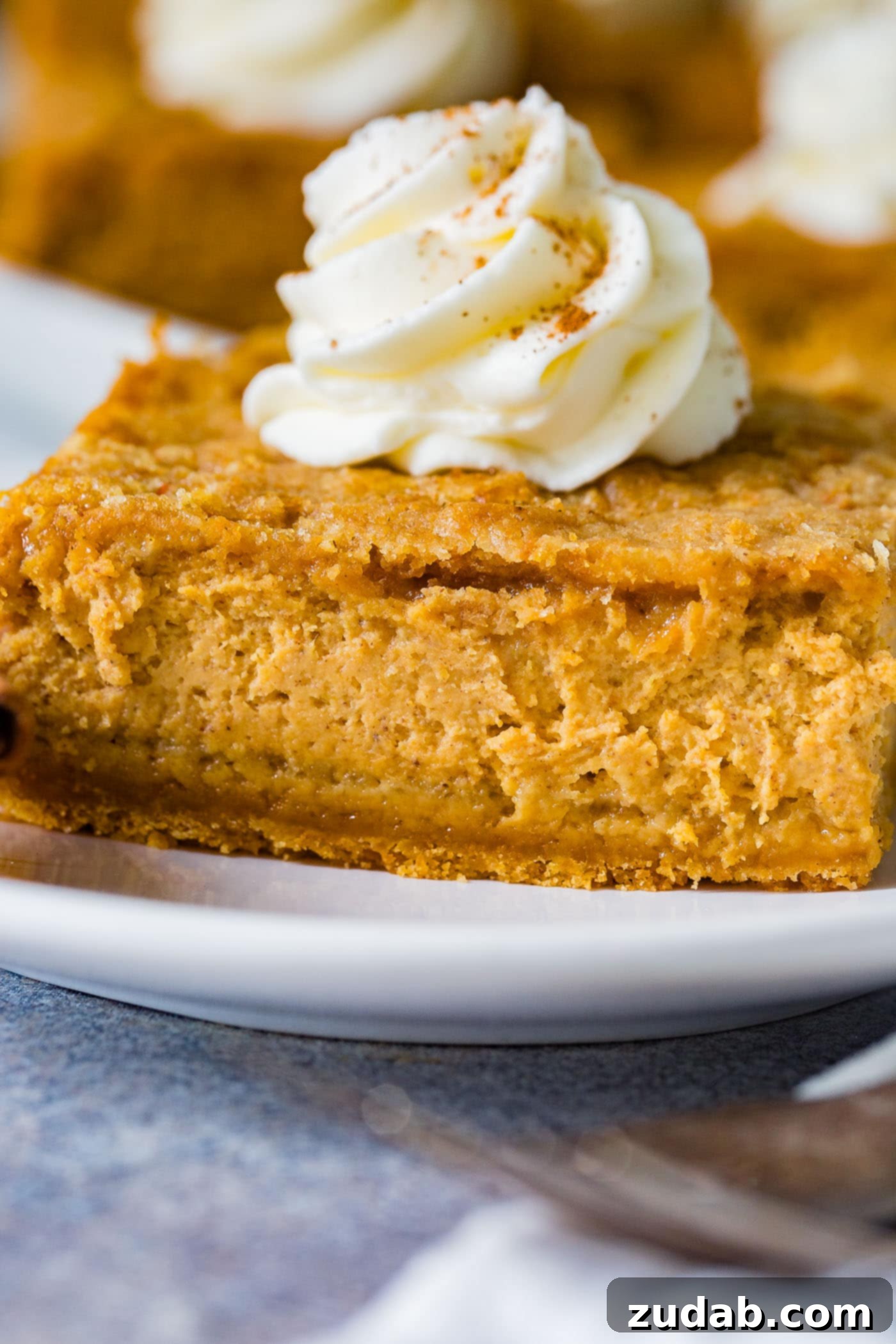 Zesty Gingersnap Pumpkin Cheesecake Delights 4 A vibrant close-up of the pumpkin cheesecake filling being poured over the gingersnap crust in a baking pan, showcasing the rich texture and readiness for baking.