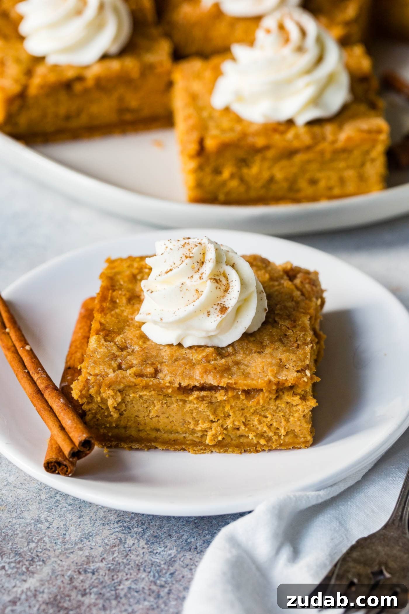 Zesty Gingersnap Pumpkin Cheesecake Delights 6 A beautifully composed flat lay of Gingersnap Pumpkin Cheesecake Bars on a white plate, accompanied by cinnamon sticks and a piping bag of whipped cream, ready for garnish.