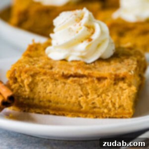 Zesty Gingersnap Pumpkin Cheesecake Delights 7 A vibrant close-up of a Gingersnap Pumpkin Cheesecake Bar slice, featuring its creamy filling and crumbly topping, ready to be enjoyed.