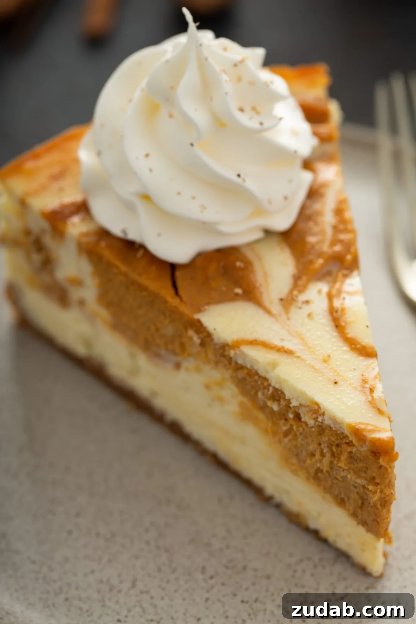 Swirled Pumpkin Cheesecake A vibrant slice of swirled pumpkin cheesecake, featuring distinct layers of creamy white and spiced orange, elegantly topped with a delicate dollop of whipped cream, ready to be savored.