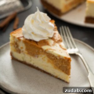 Golden Swirl Pumpkin Cheesecake 2 A high-quality image of Swirled Pumpkin Cheesecake, visually appealing and professionally styled.