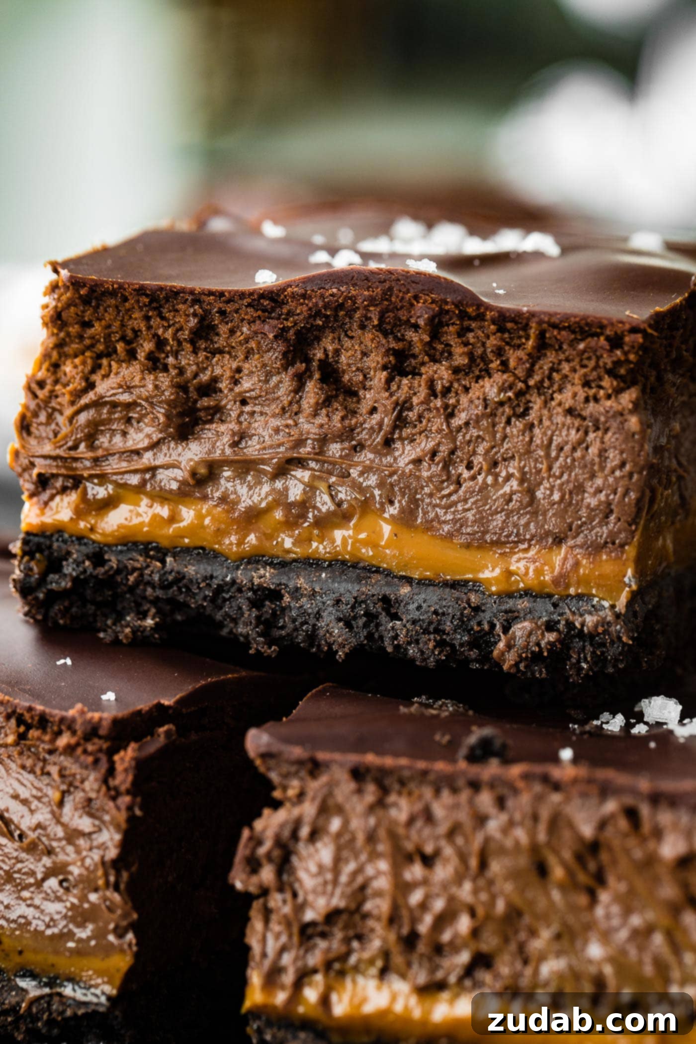 Decadent Dulce de Leche Chocolate Cheesecake Squares 3 a close up side profile of a creamy and rich cocoa cream cheese dessert with flaky salt