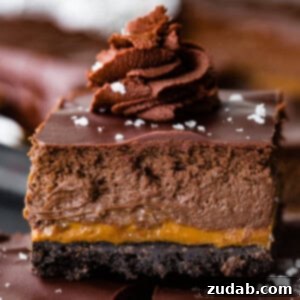 Decadent Dulce de Leche Chocolate Cheesecake Squares 9 img 62977 8