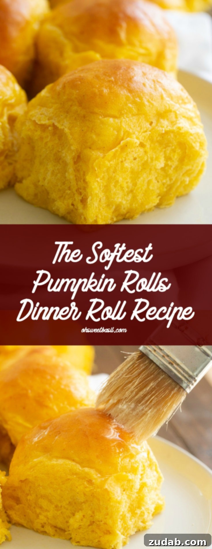 Pillowy Pumpkin Dinner Rolls 12 A large batch of soft and fluffy pumpkin rolls on a white dish, garnished with a sprig of fresh rosemary