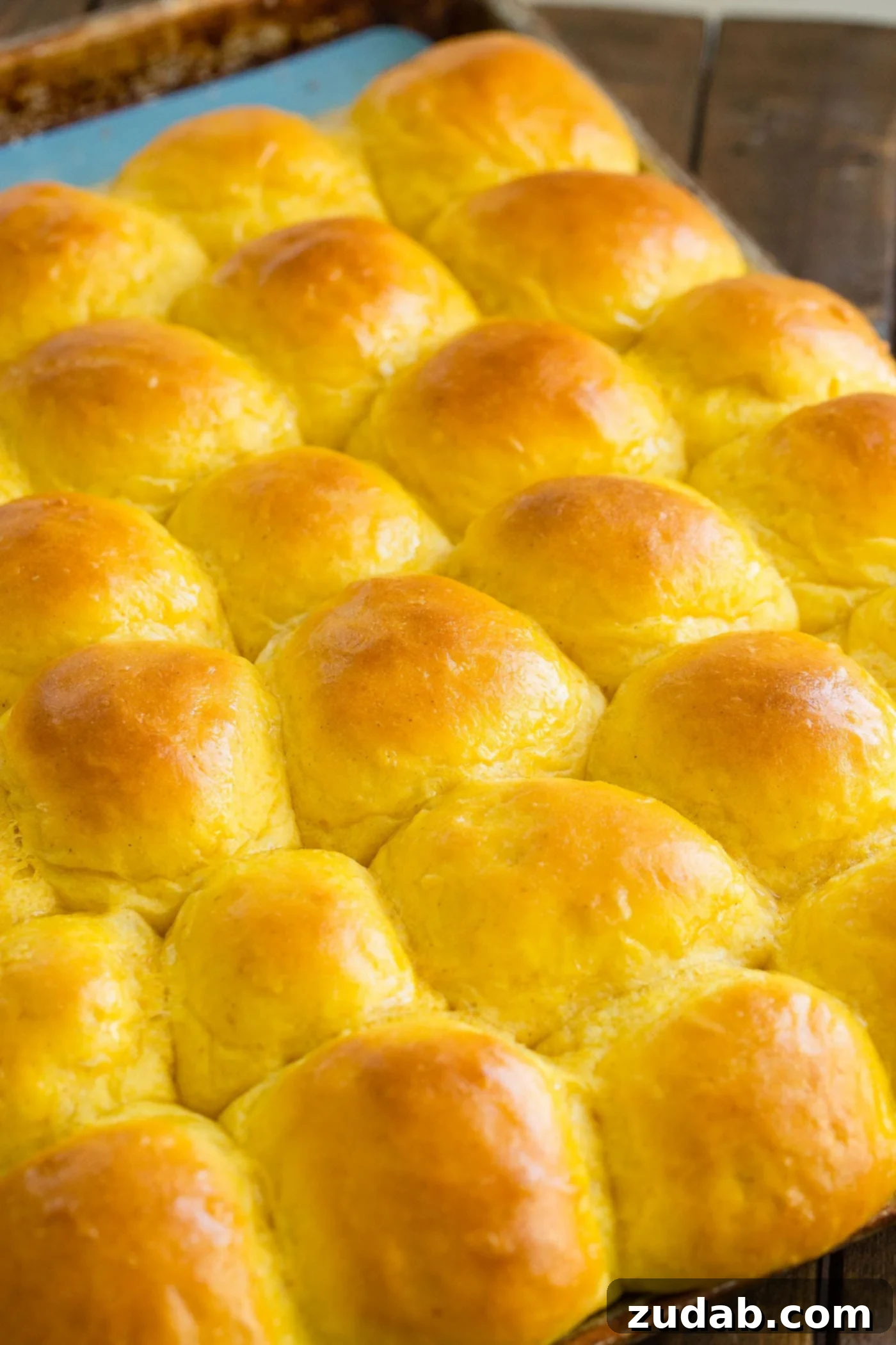 Pillowy Pumpkin Dinner Rolls 3 A cookie sheet filled with warm, soft pumpkin dinner rolls with buttered tops, fresh from the oven