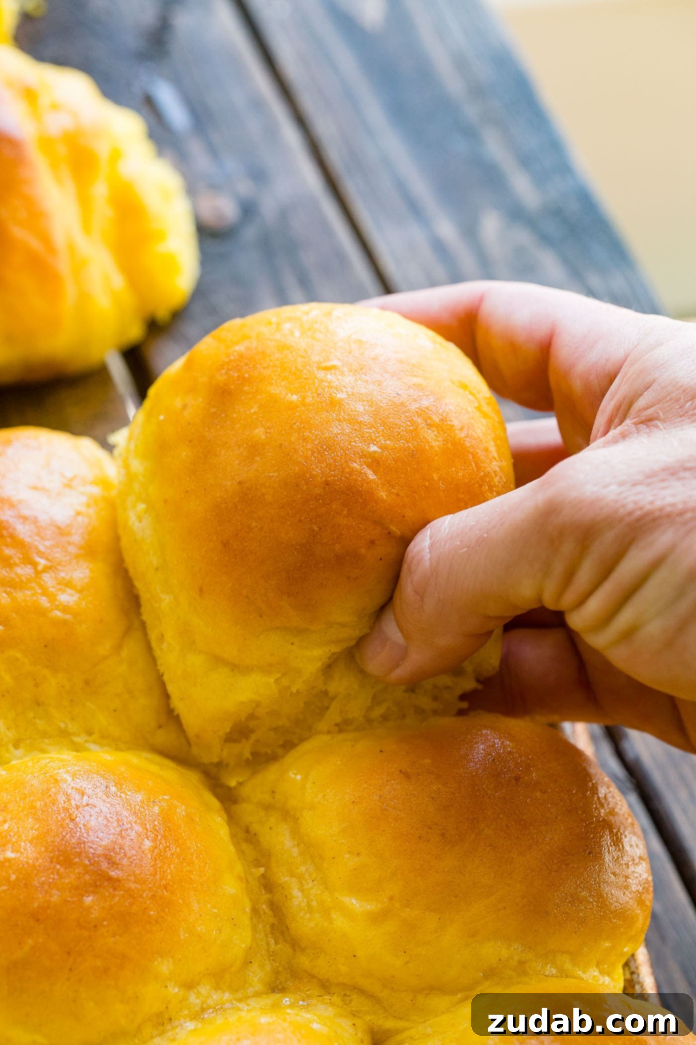 Pillowy Pumpkin Dinner Rolls 4 A single soft pumpkin dinner roll being gently lifted from a baking pan, showcasing its fluffy texture
