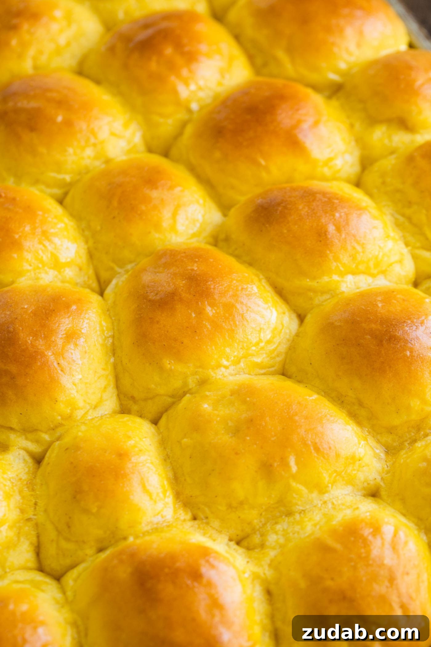 Pillowy Pumpkin Dinner Rolls 9 A baking sheet generously filled with golden-brown, soft pumpkin dinner rolls, their buttered tops glistening
