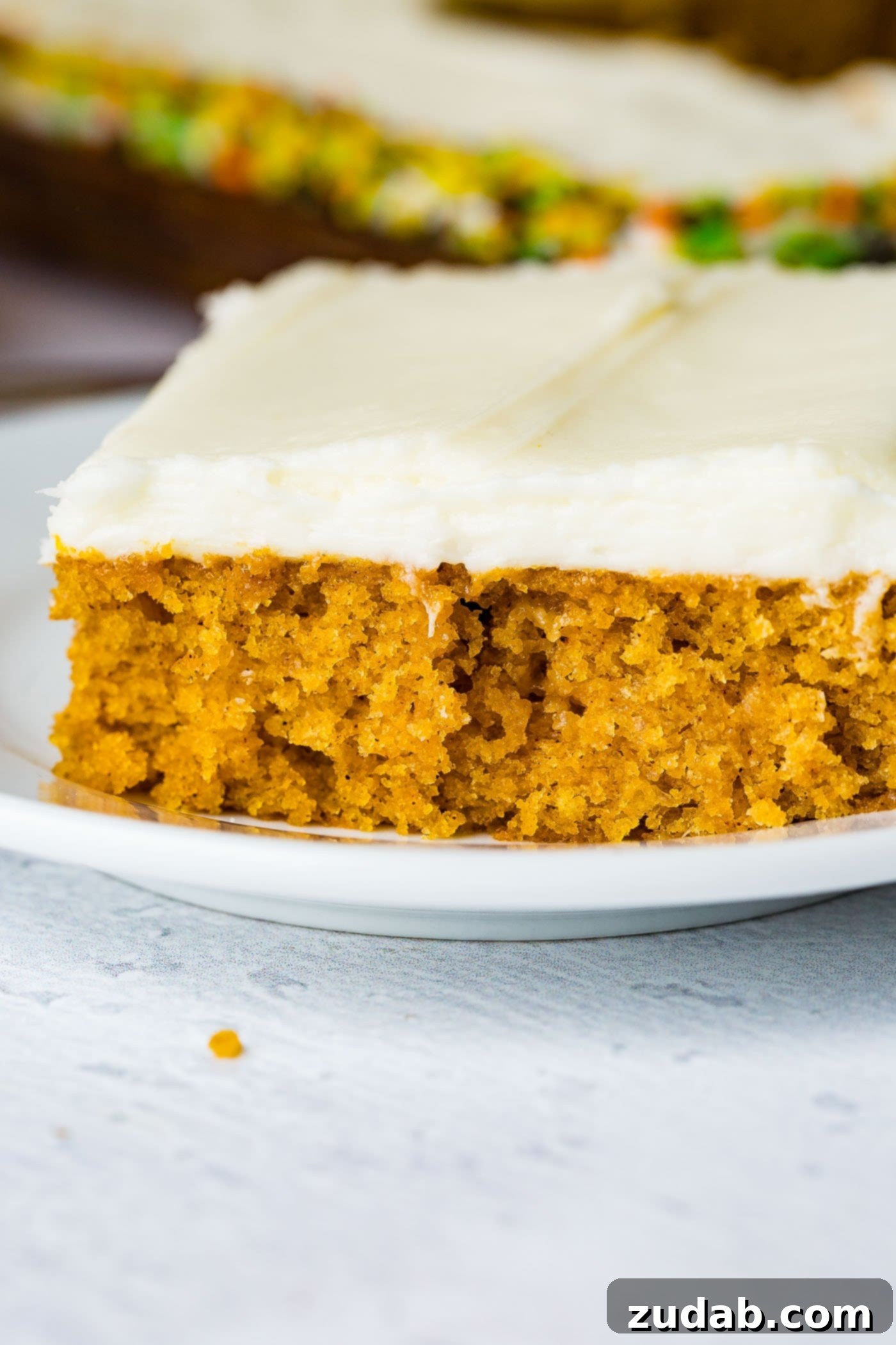 Pumpkin Sheet Cake A photo of a piece of pumpkin sheet cake with cream cheese frosting sitting on a white plate.