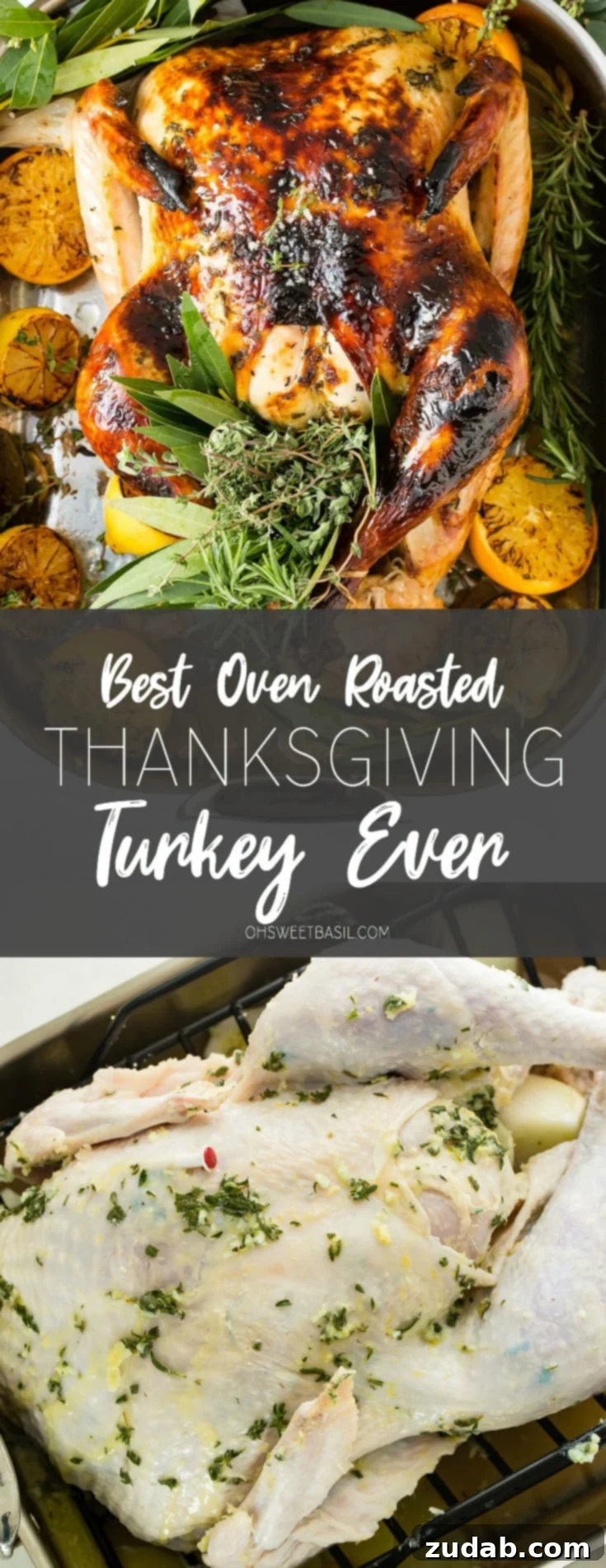 The Ultimate Golden Oven Roasted Thanksgiving Turkey 5 A photo of a whole roasted turkey on a platter surrounded by roasted lemon halves and bunches of fresh herbs.