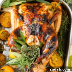 The Ultimate Golden Oven Roasted Thanksgiving Turkey 4 img 64585 8