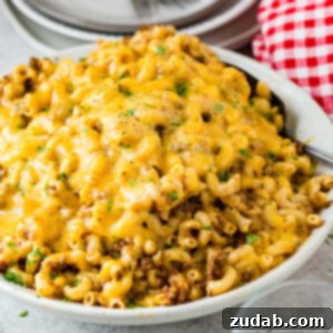 Ultimate Instant Pot Hamburger Helper 2 Instant Pot Hamburger Helper Recipe Image