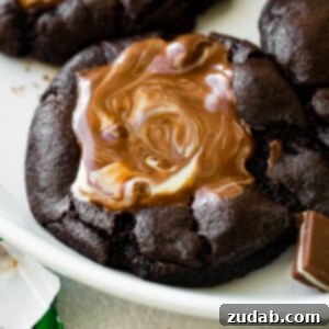 A chocolate cookie with a melting Andes Mint.
