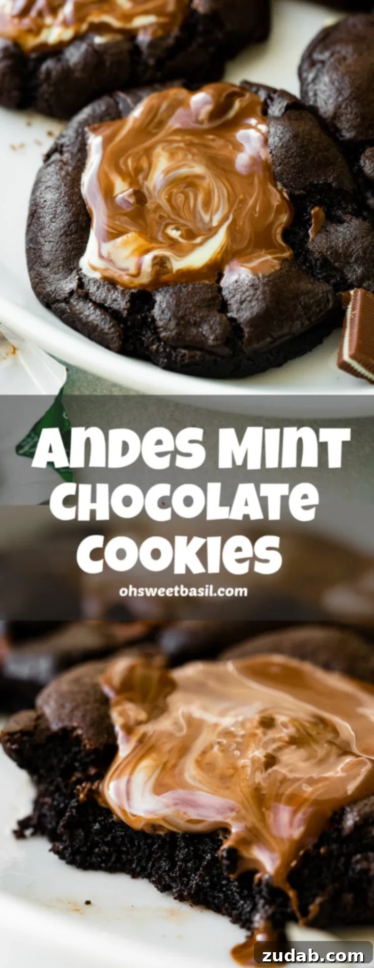 Irresistible Andes Mint Chocolate Cookies 3 A photo of a chocolate cookie topped with melting Andes Mints, ready to be enjoyed.