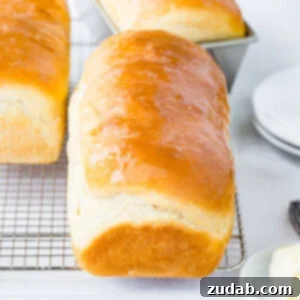 The Ultimate Homemade White Bread 2 img 65251 5