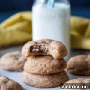 A chocolate chip snickerdoodle cookie