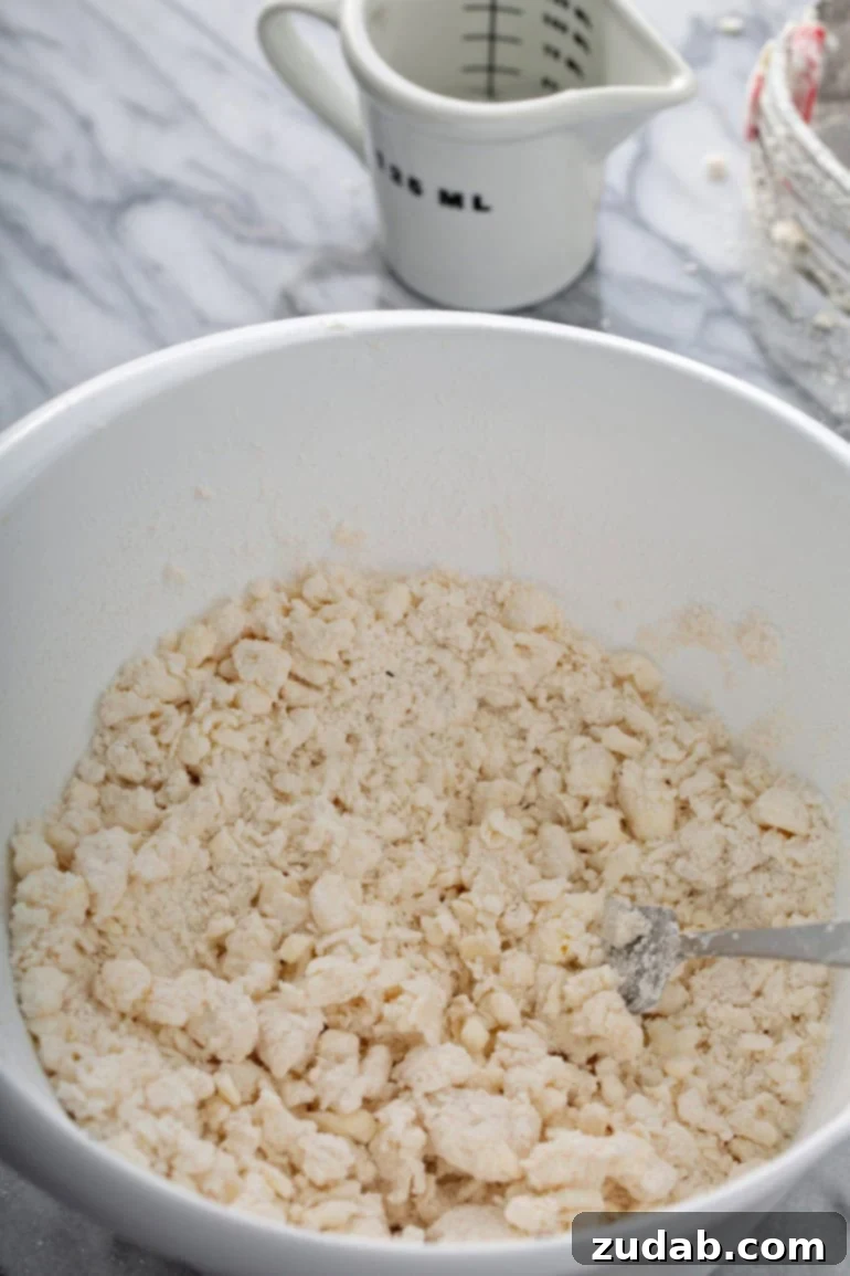 Master My Absolute Favorite Pie Crust With This Video 4 A mixing bowl containing ingredients for pie dough that has been cut together before liquid has been added.