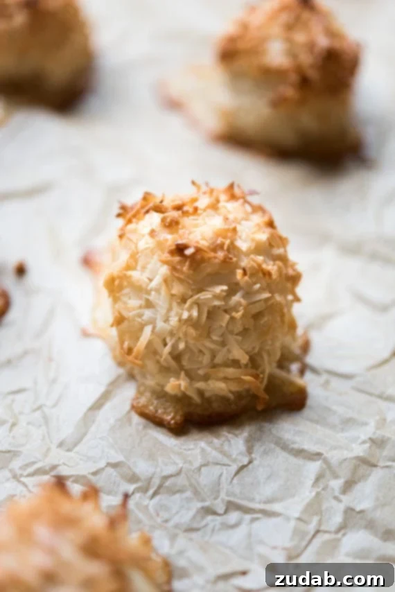 The Ultimate Coconut Macaroons 4 coconut macaroons