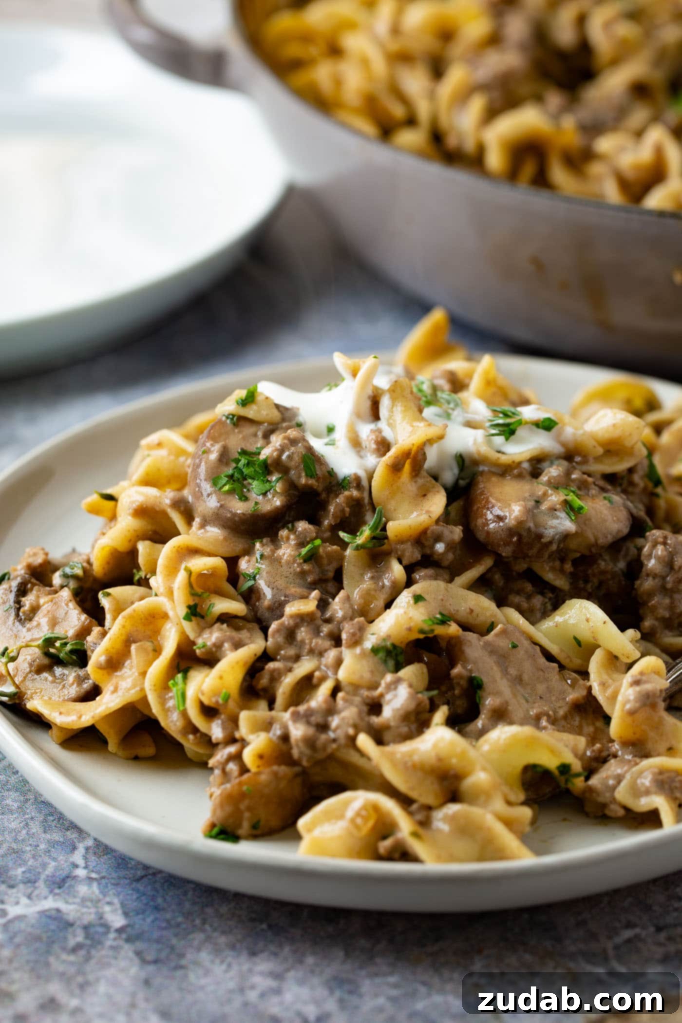 Ground Beef Stroganoff A dinner plate filled with ground beef stroganoff. It is noodles and ground beef in a rich sauce with a spoonful of sour cream on top.