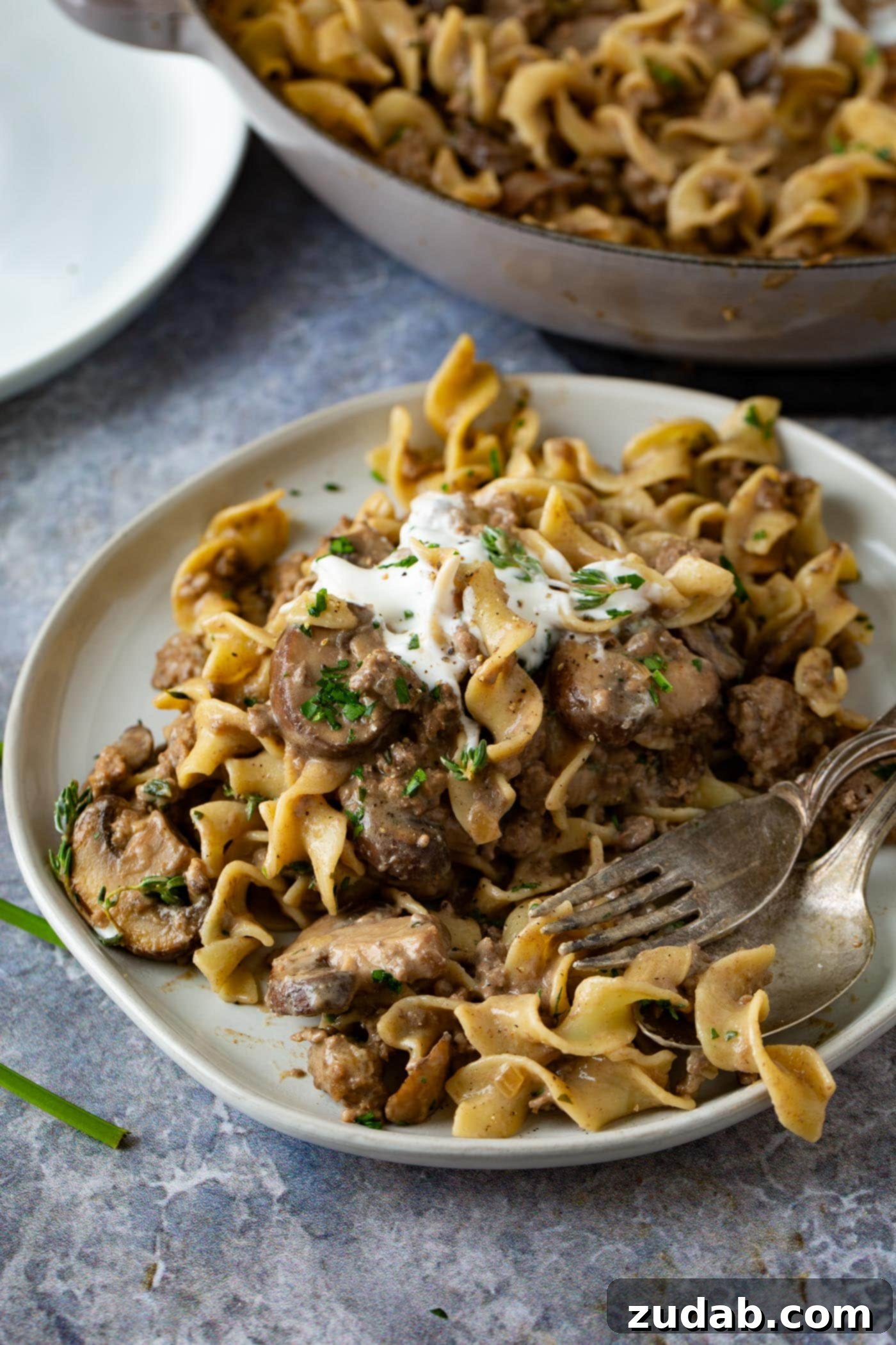 Ground Beef Stroganoff A white dinner plate with ground beef stroganoff. There is a fork on the plate with noodles, ground beef in a sauce and sour cream on top.