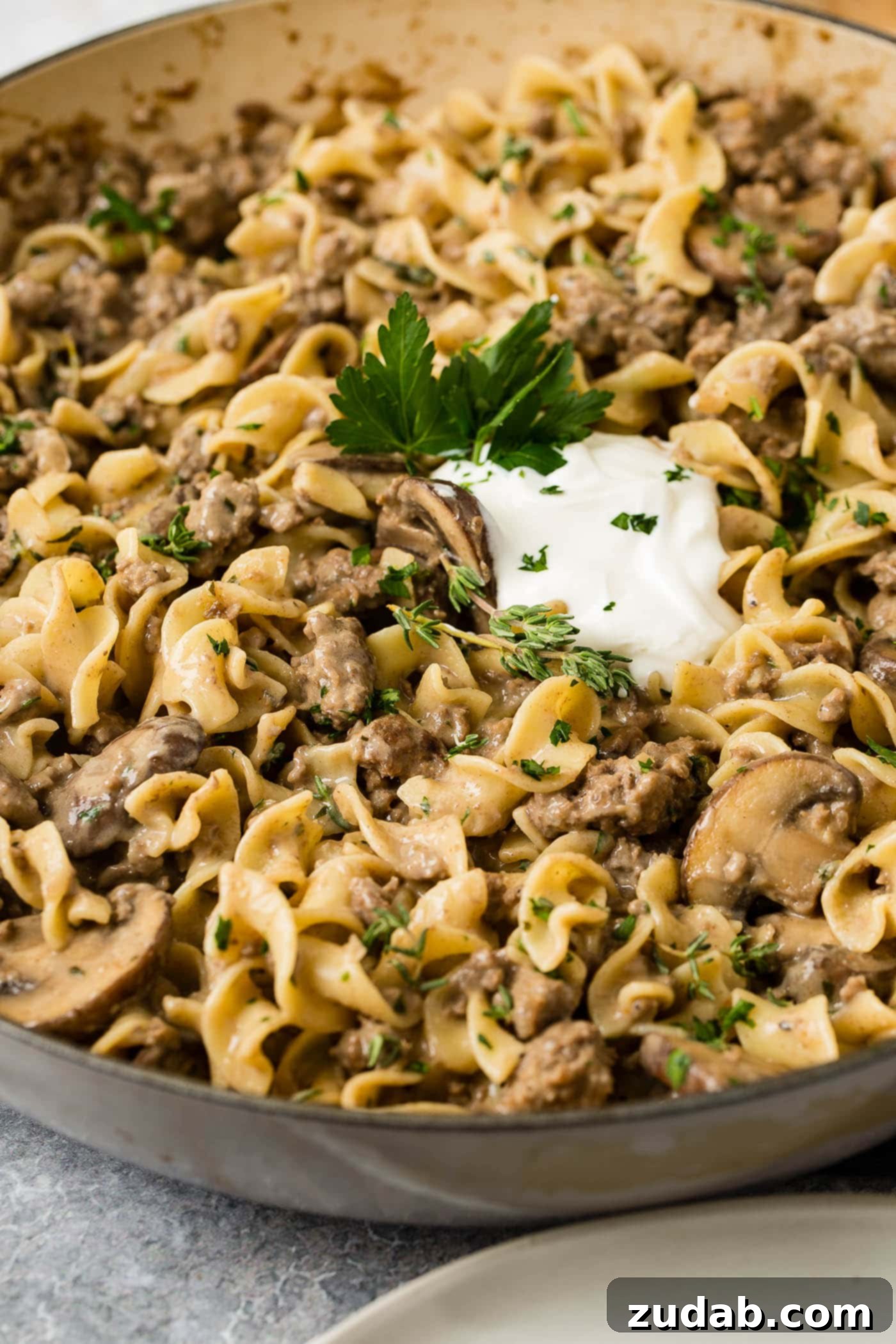 Ground Beef Stroganoff A close-up of a bowl of ground beef stroganoff. There are noodles, ground beef and mushrooms in a sauce with a spoonful of sour cream and parsley flakes on top.