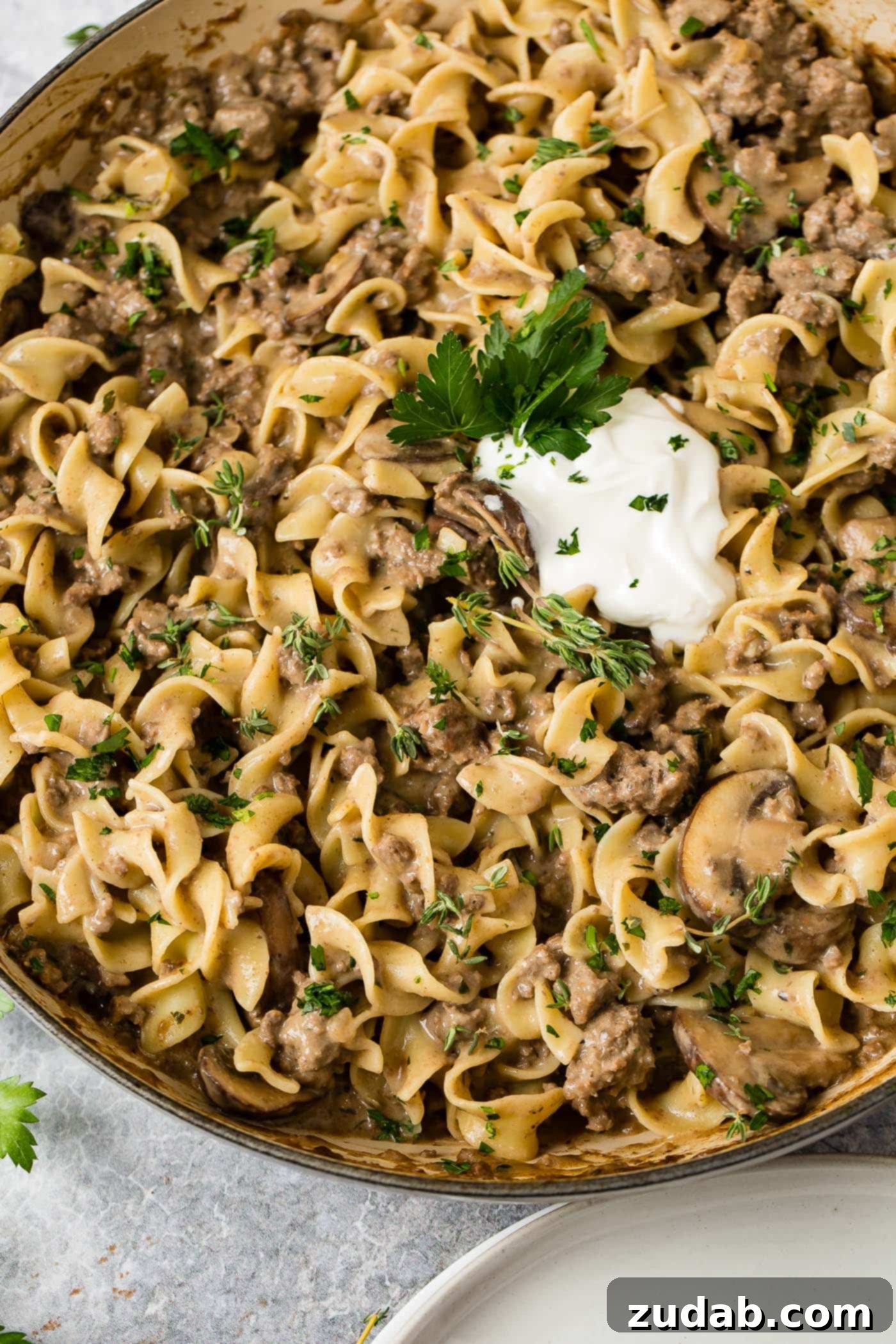 Ground Beef Stroganoff A serving dish of ground beef stroganoff. There are noodles, ground beef, and mushrooms with a sauce over them. It is topped with a spoonful of sour cream and parsley leaves.