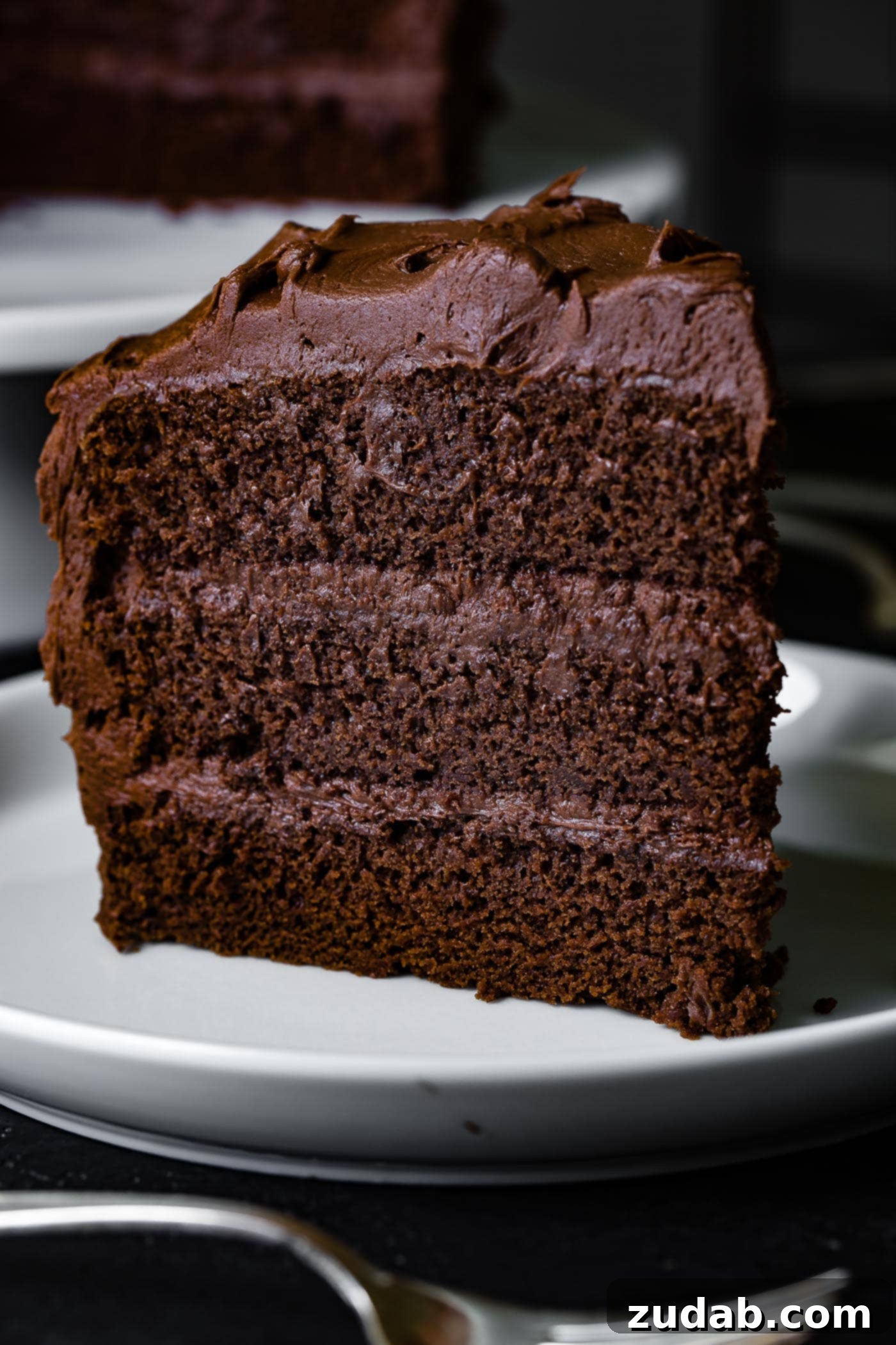 The Most Perfect Moist Chocolate Cake A big, tall slice of chocolate layer cake with thick chocolate frosting. Each layer is frosted with rich chocolate frosting and the slice is sitting on a pristine white dessert plate.