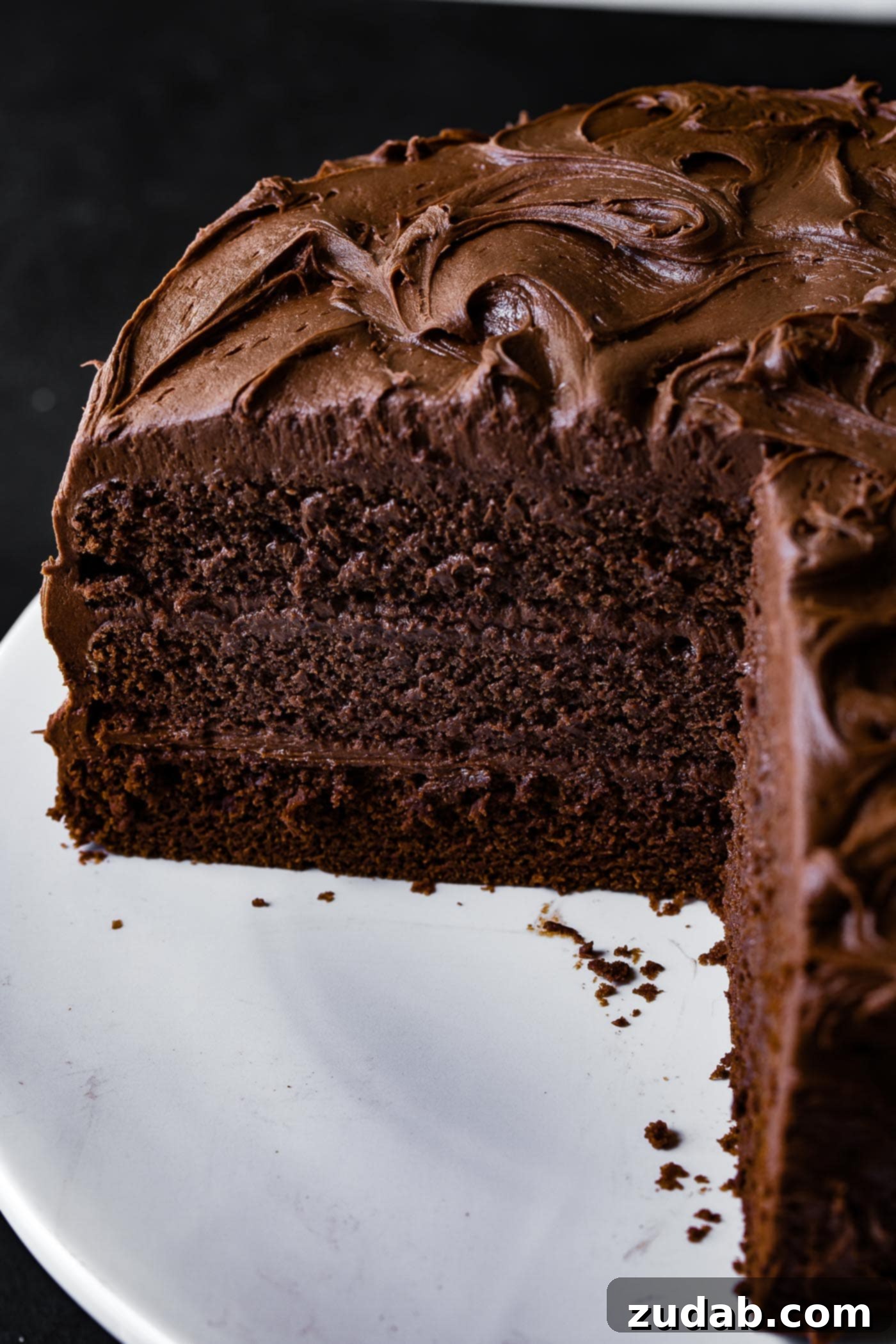 The Most Perfect Moist Chocolate Cake A chocolate layer cake with chocolate frosting. Several pieces have been cut from the cake exposing the moist, chocolaty inside. Each layer is frosted with the same creamy chocolate frosting that covers the entire cake.