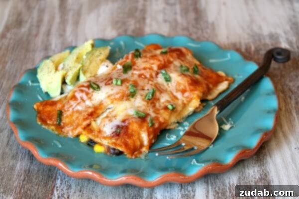 Zesty Vegetarian Tacos with Spicy Crema 6 Vegetable-Enchiladas-1