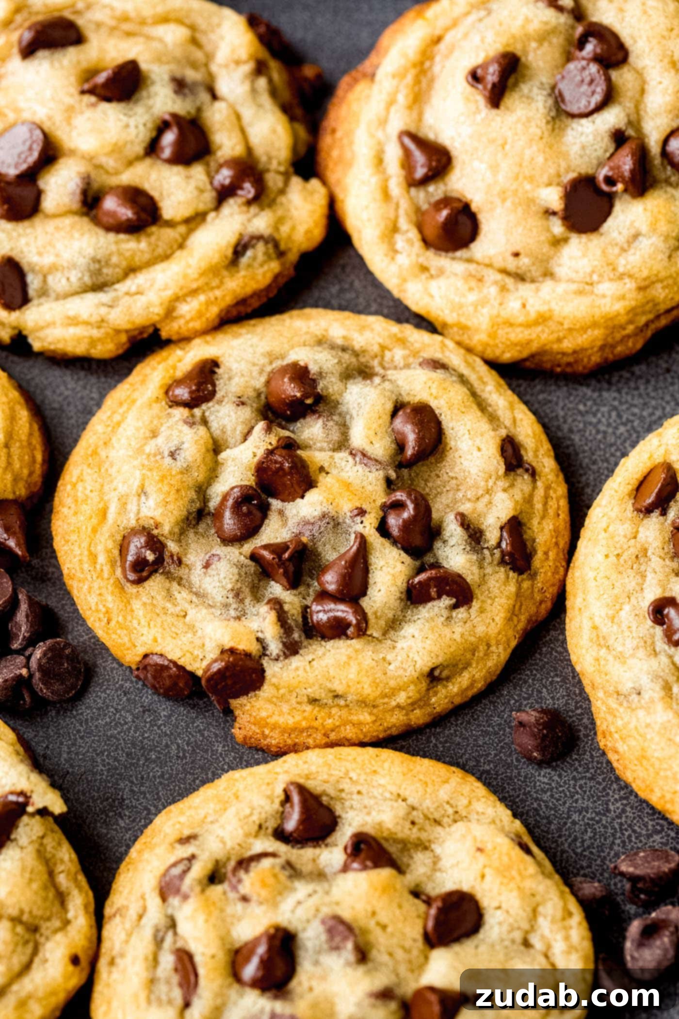 Our Favorite Chocolate Chip Cookies A baking pan with baked chocolate chip cookies. They are golden brown and are packed with chocolate chips.