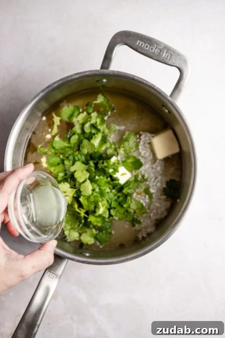 Restaurant-Quality Cilantro Lime Rice Just Like Café Rio 11 All the ingredients are combined in the saucepan and stirred well, ensuring even distribution before cooking.