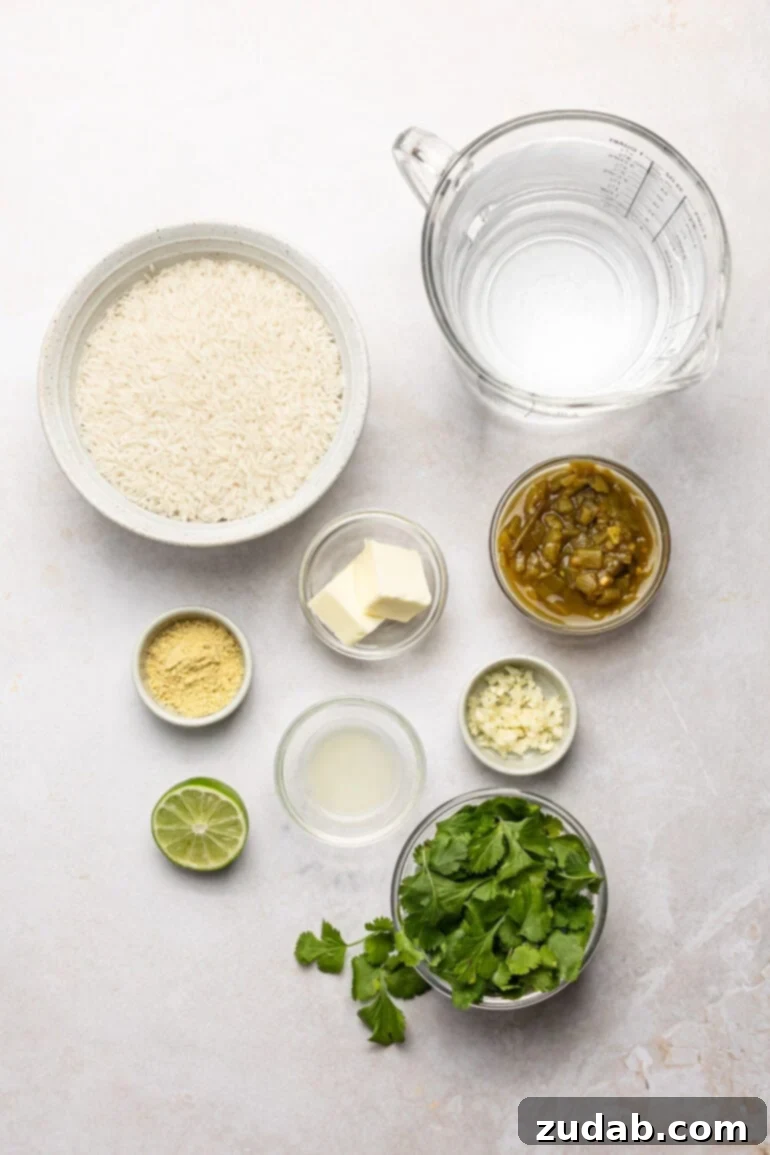 Restaurant-Quality Cilantro Lime Rice Just Like Café Rio 4 A perfectly arranged photo of all the essential ingredients for cilantro lime rice, neatly separated into small individual bowls. The ingredients include rice, water, diced green chiles, fresh cilantro, minced garlic, lime juice, unsalted butter, and chicken bouillon, showcasing their vibrant colors and textures.