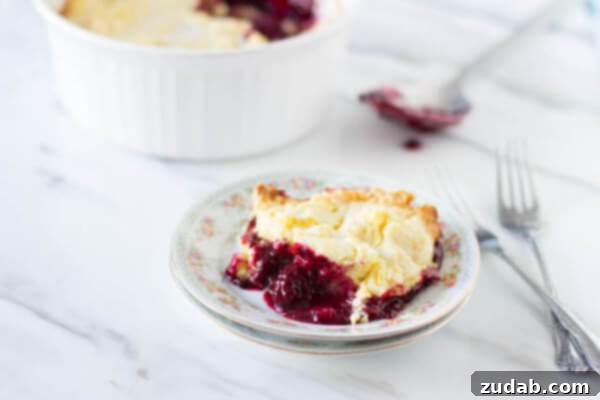 Homemade Lemon Blackberry Cobbler Delight Warm Lemon Blackberry Cobbler, a comforting dessert for any occasion, ohsweetbasil.com