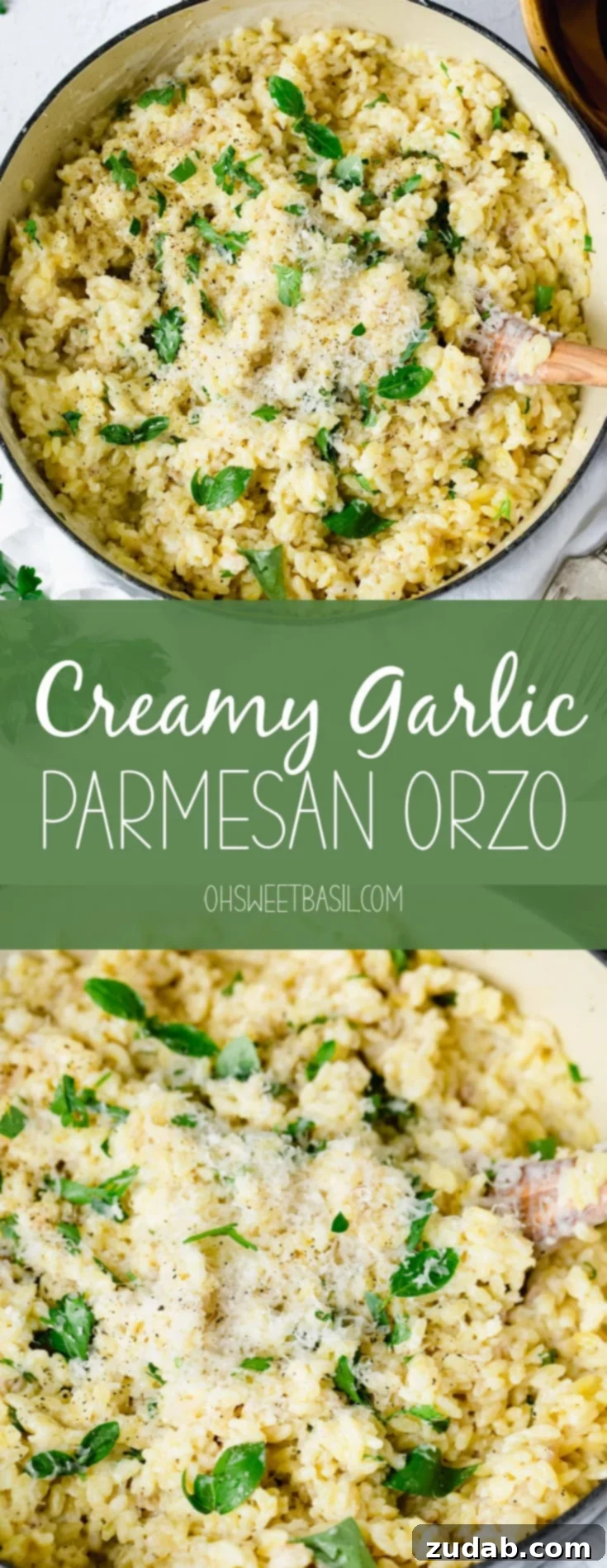 A serving bowl of creamy orzo. There is a wooden spoon in the pasta and the pasta is mixed in a creamy white sauce with fresh thyme leaves. There are fresh thyme leaves and a couple of forks laying next to the bowl.