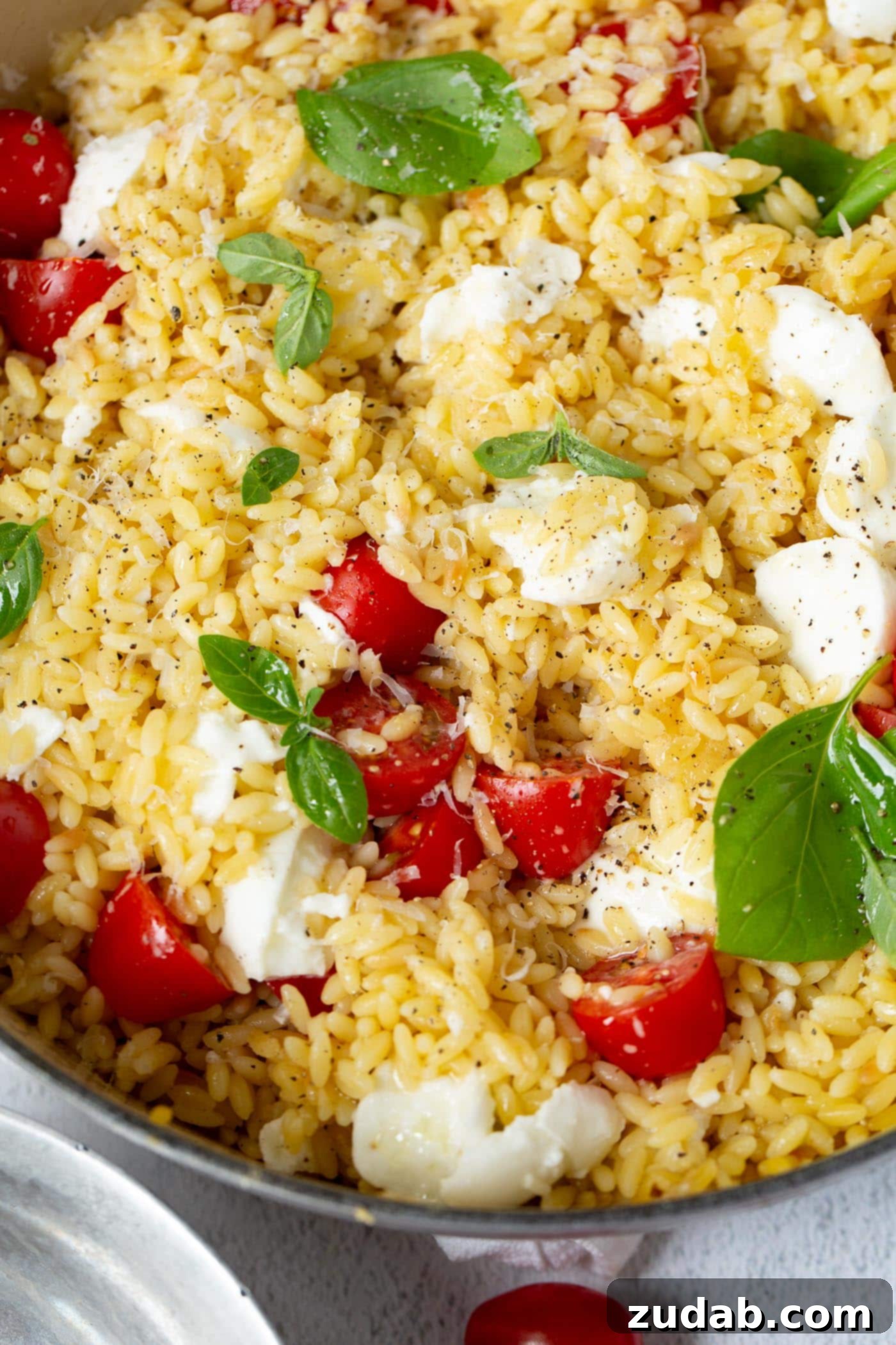 Caprese Orzo Pasta Caprese Orzo Pasta salad packed with vibrant ingredients. The bowl is full of tender orzo pasta intertwined with bright red cherry tomatoes, luscious chunks of creamy mozzarella cheese, and generous amounts of fresh green basil leaves. The dish looks inviting and full of fresh, wholesome flavors.