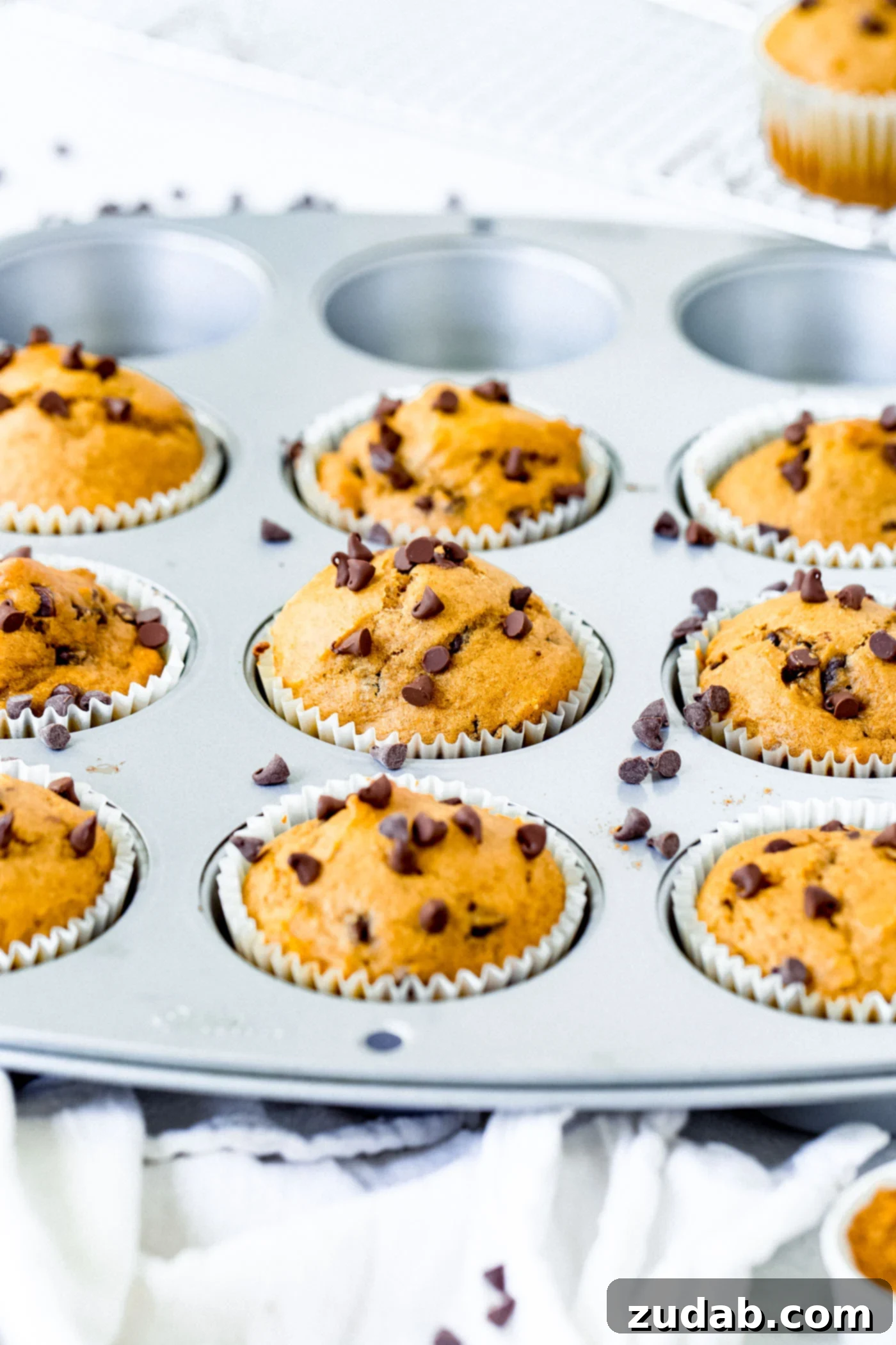 Delicious Chocolate Chip Pumpkin Muffins A muffin tin showcasing perfectly baked chocolate chip pumpkin muffins, each generously sprinkled with mini chocolate chips.