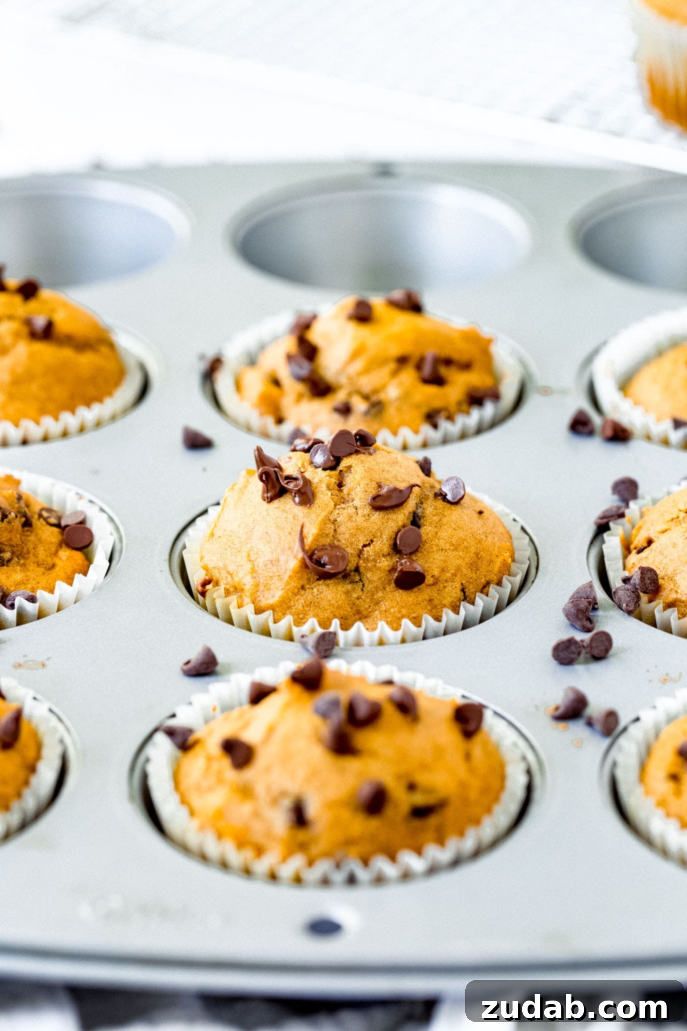 Chocolate Chip Pumpkin Muffins for Any Occasion Delicious chocolate chip pumpkin muffins neatly arranged in a muffin tin, with mini chocolate chips visible on top of each one.