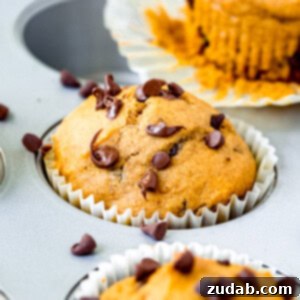 Spiced Pumpkin Chocolate Chip Muffins 2 A square image depicting a freshly baked chocolate chip pumpkin muffin, showcasing its golden-brown top and visible chocolate chips.