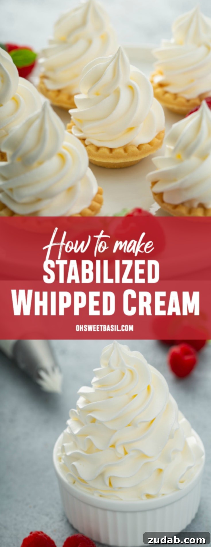 The Ultimate Guide to Foolproof Whipped Cream Stability 6 6 small tarts topped with swirled whipped cream. there are a few raspberries scattered around the tarts.