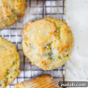 Lemon Poppy Seed Muffins