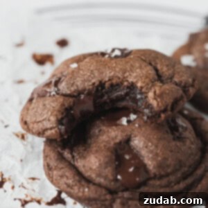 Ultimate Double Chocolate Chip Cookies 2 Delicious Double Chocolate Chip Cookies